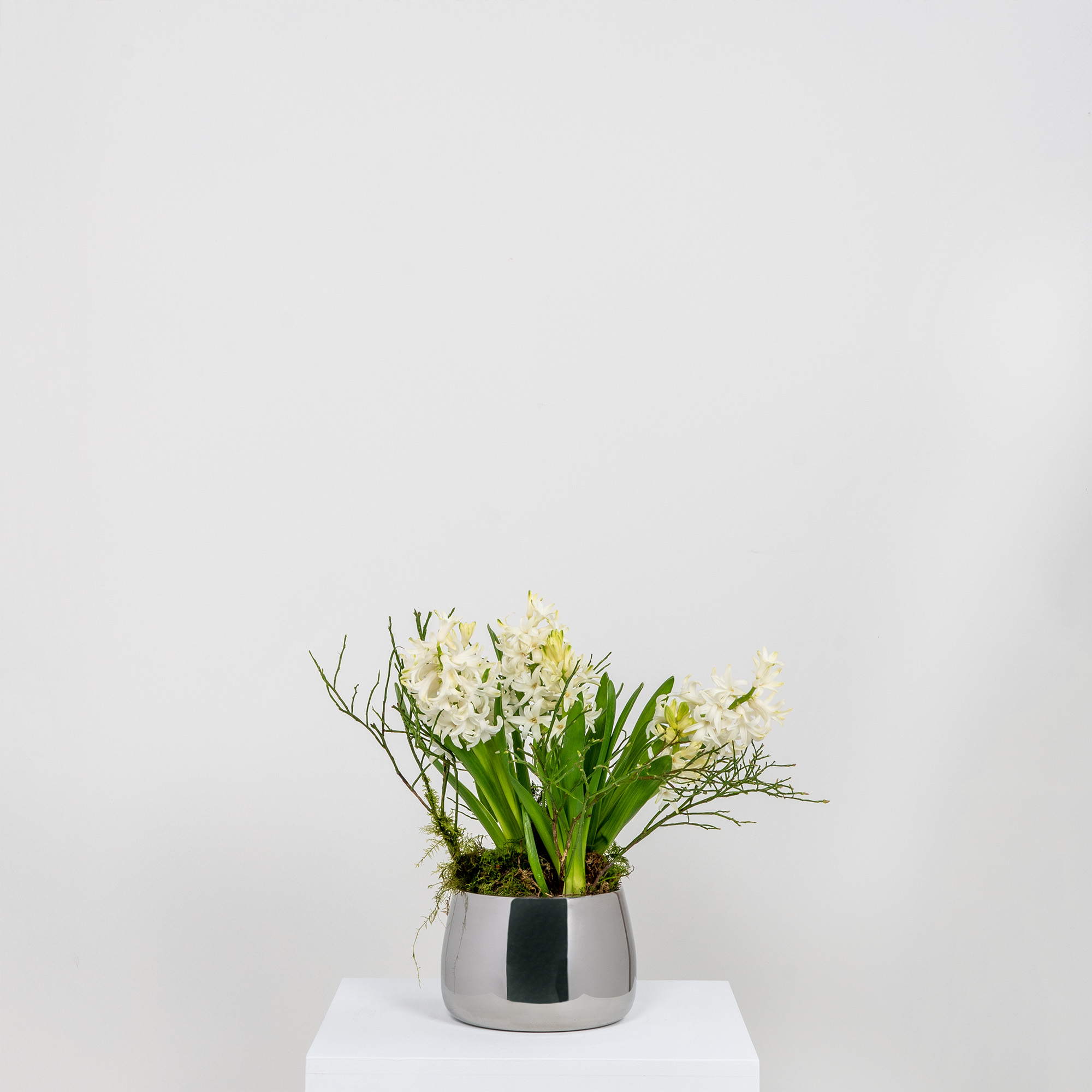 Polished Marine SS (316) 12.5cm Hepworth Pot