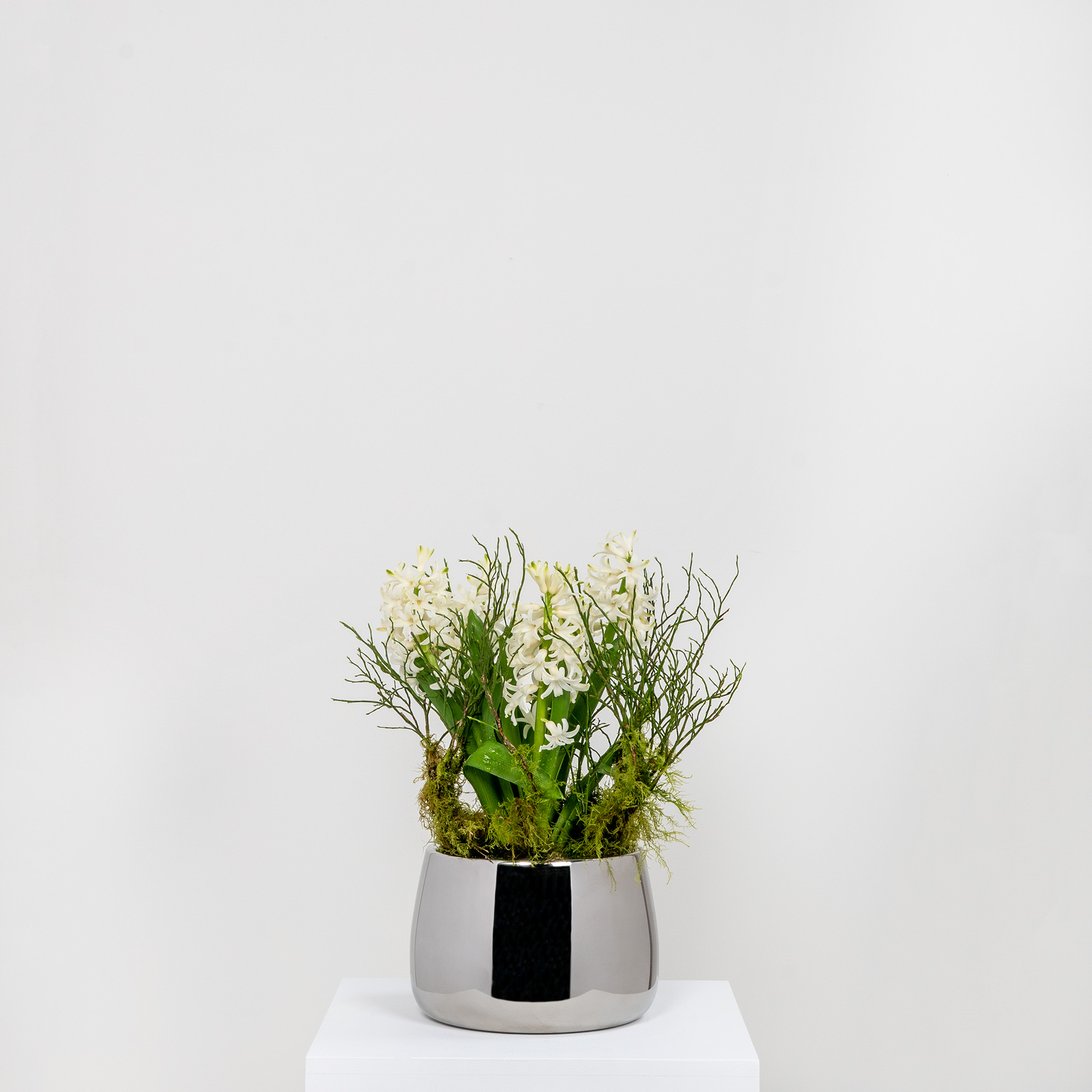 Polished Marine SS (316) 16cm Hepworth Pot