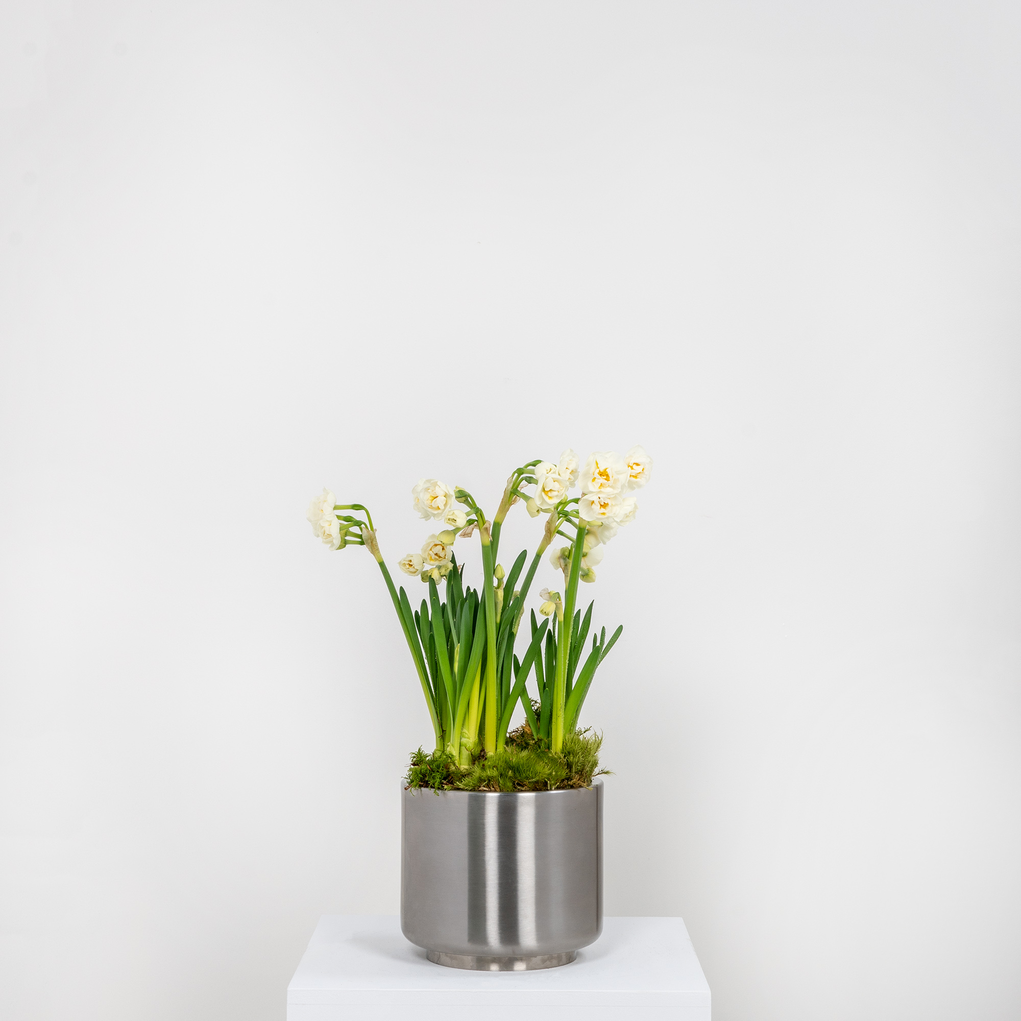 Satin Marine SS (316) 16cm Newlyn Pot