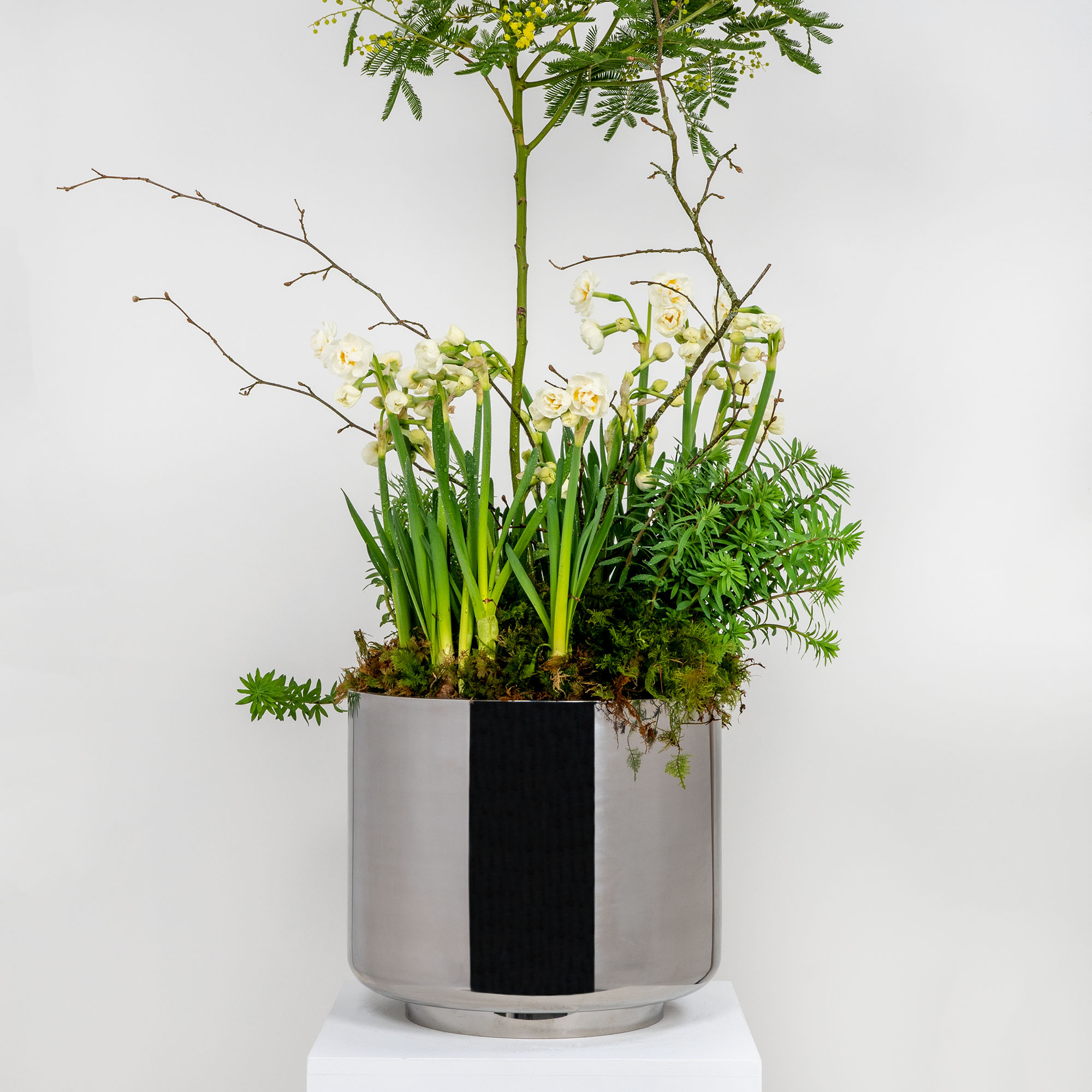 Polished Marine SS (316) 28cm Newlyn Pot