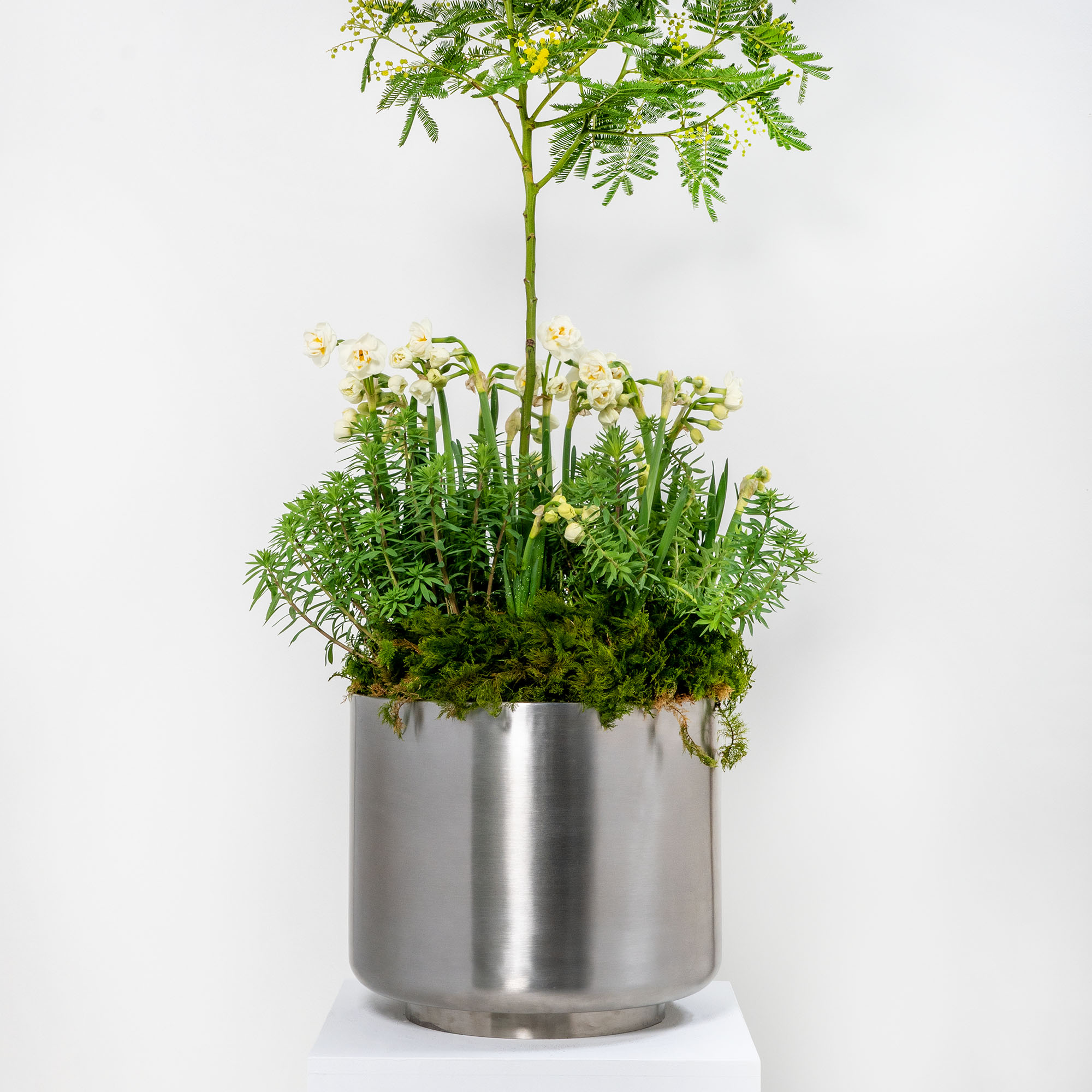 Satin Marine SS (316) 28cm Newlyn Pot (Drainage holes)