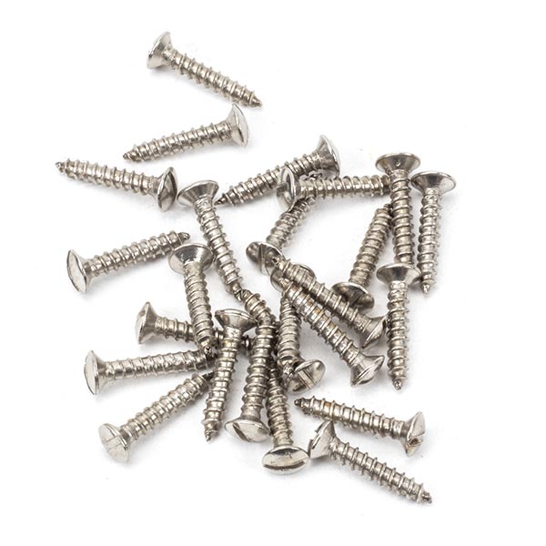 Stainless Steel 6x¾" Countersunk Raised Head Screws (25)
